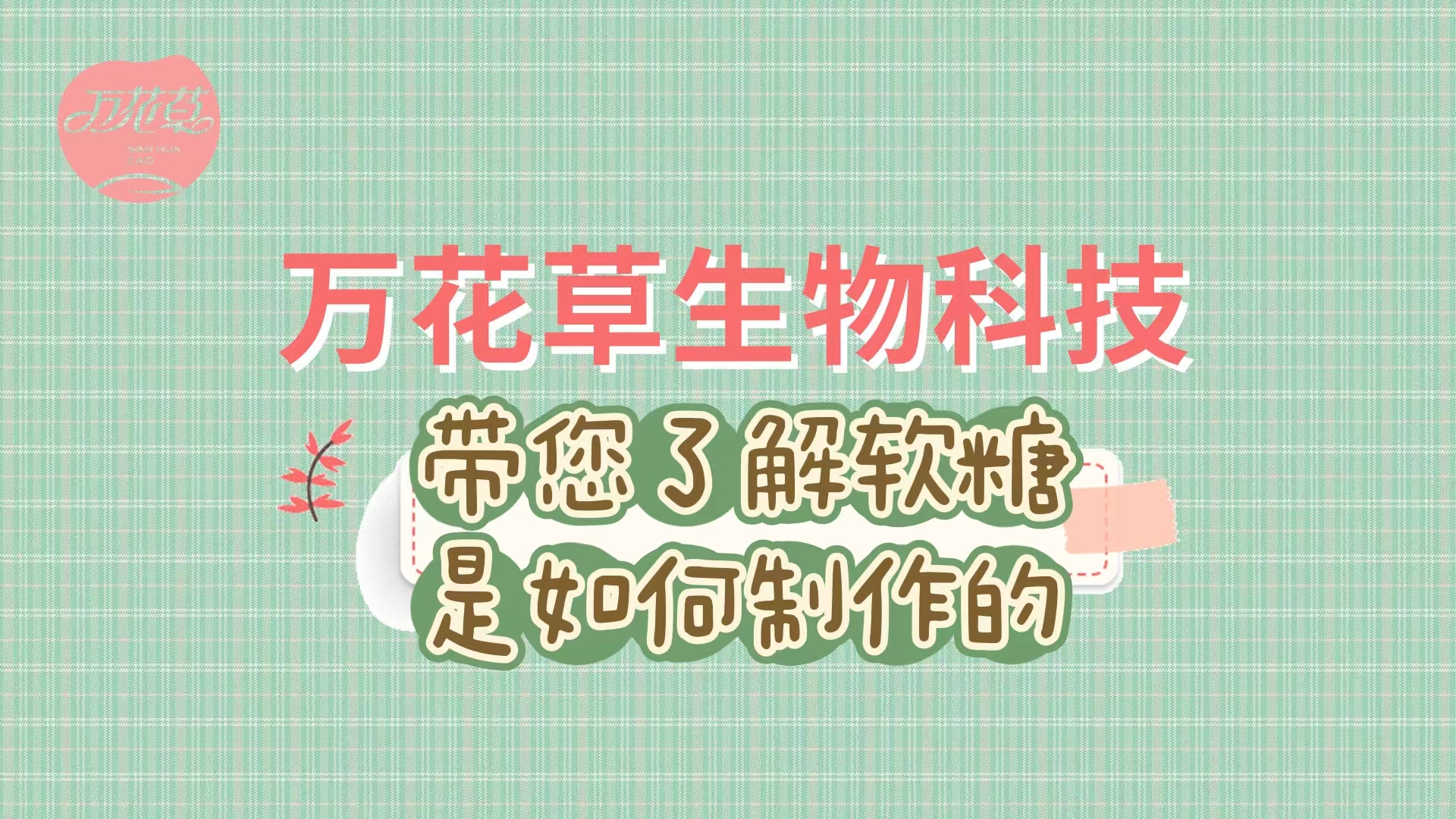 軟糖代加工生產(chǎn)工藝流程，帶您了解糖果是如何制作的