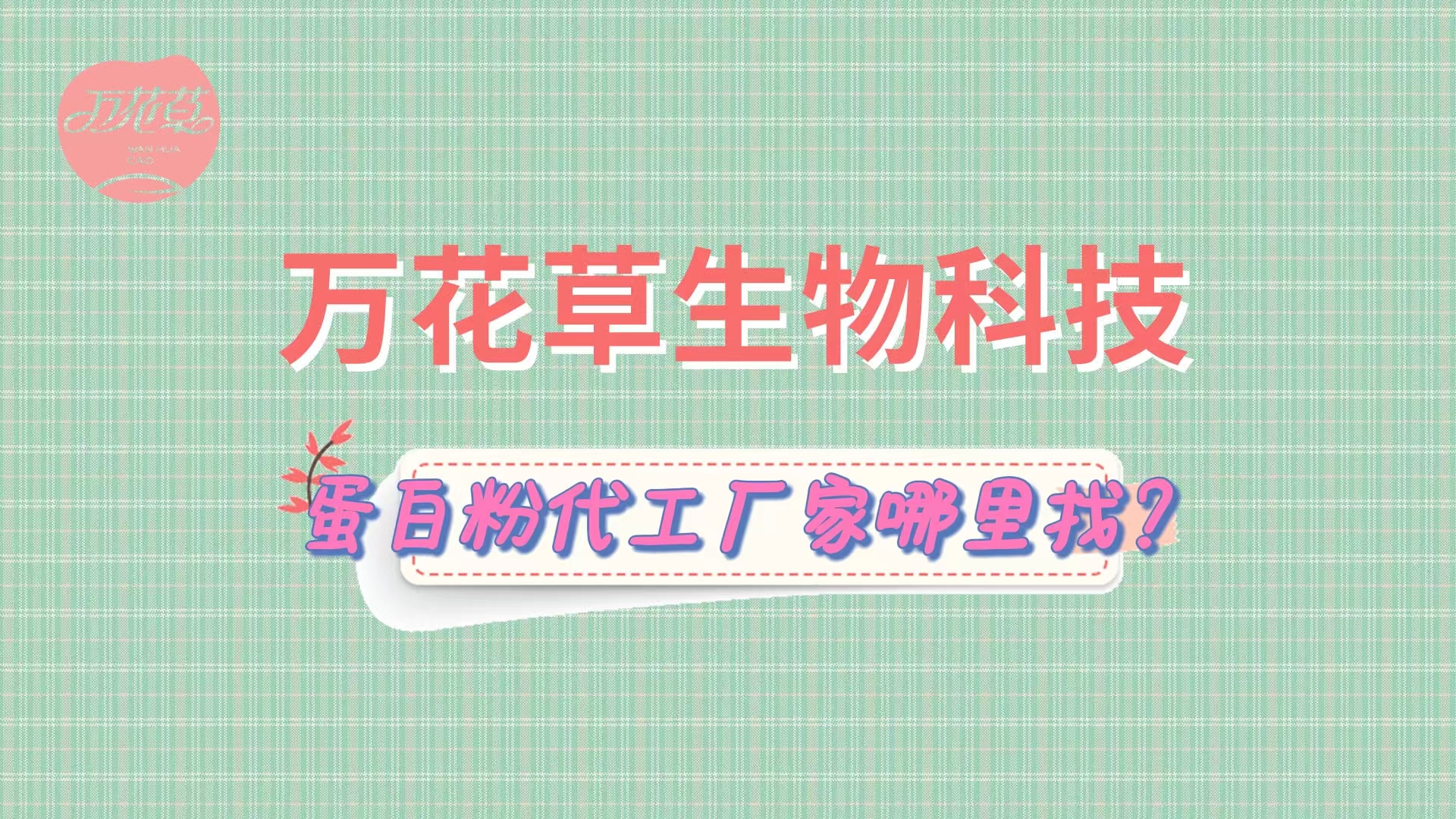 蛋白粉代加工，怎么找專業(yè)源頭廠家？