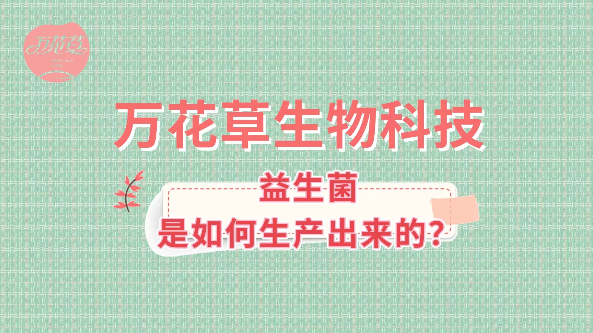 帶您了解益生菌是如何生產(chǎn)出來的,好的廠家哪里找？