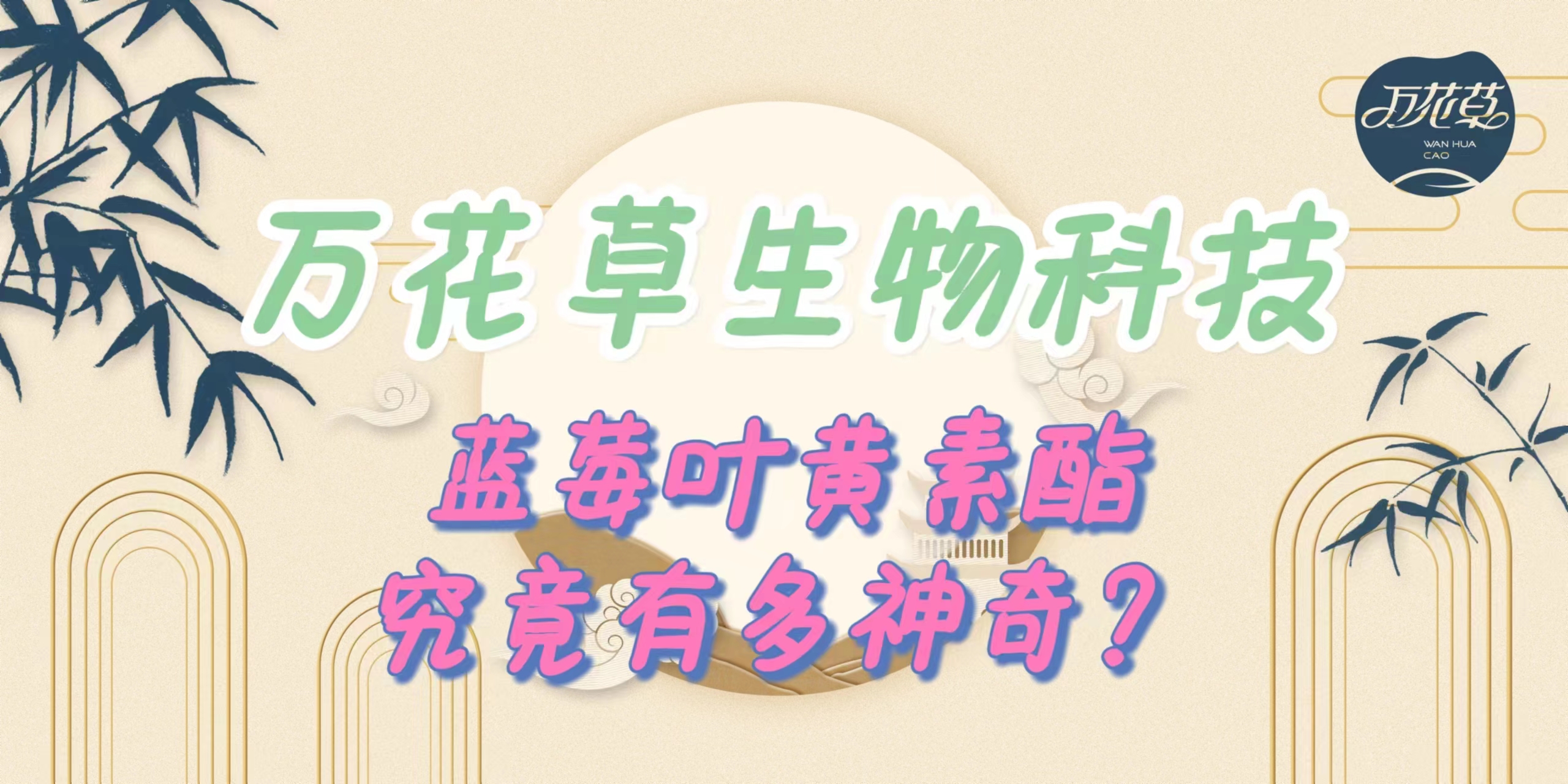 升級(jí)配方，重磅出擊，萬花草藍(lán)莓葉黃素酯究竟有多神奇？