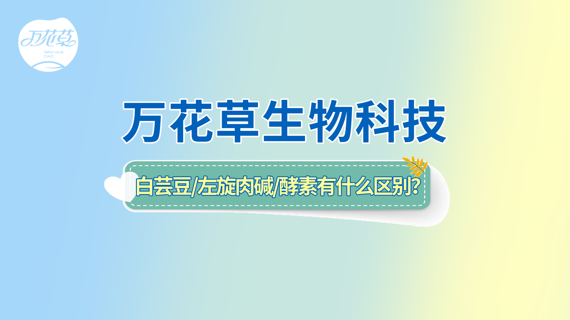 白蕓豆、左旋肉堿、嗨吃酵素有什么區(qū)別？